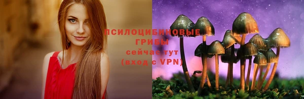 spice Алексеевка