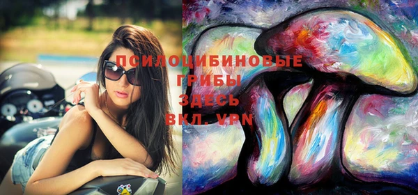 сатива Алзамай