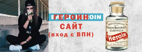 хмурый Пересвет